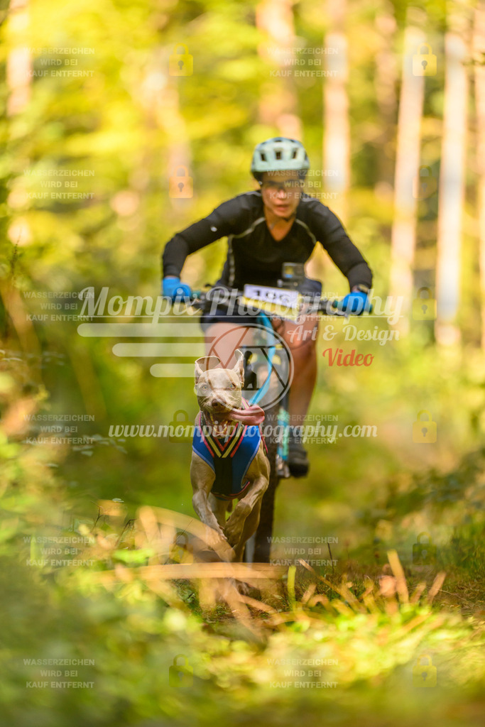 MompixPhotography_Yens2025_B2-89 | PayLife