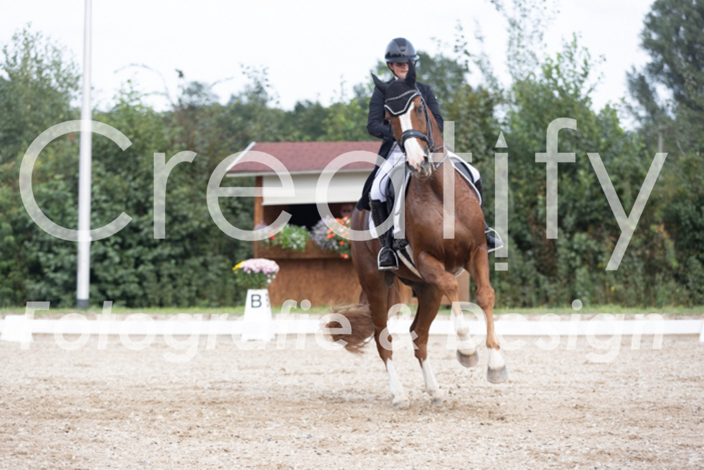 IMG_4797 | Creatify Fotografie