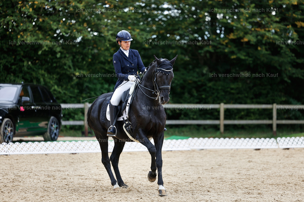 11-194-Dressur S___-StoibPH-1464 | working equitationturnier fotograf videograf stoibphotography marixx film working equitation deutschland reitsport turnierfotografie eventfotografie equestrian events