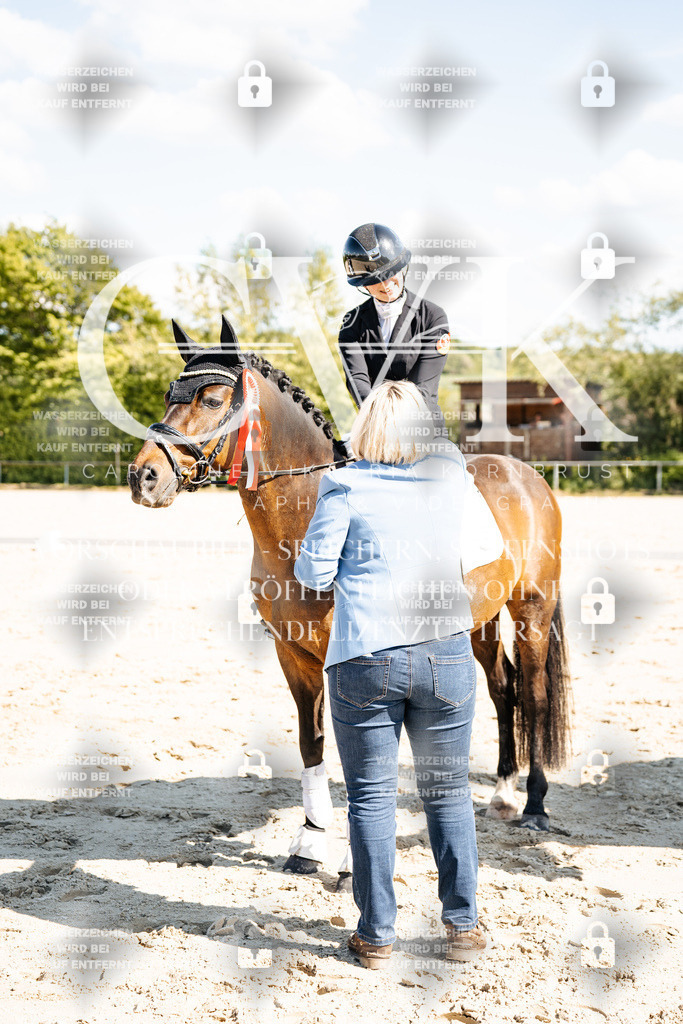 CK703567 | Turnierfotografie Pferdefotografie Trier Rheinland-Pfalz Pferdesport Reitsport Tierfotografie Sportfotografie Pferdevideo Pferdevideografie Equestrianvideography equestrianphotography  - Realisiert mit Pictrs.com