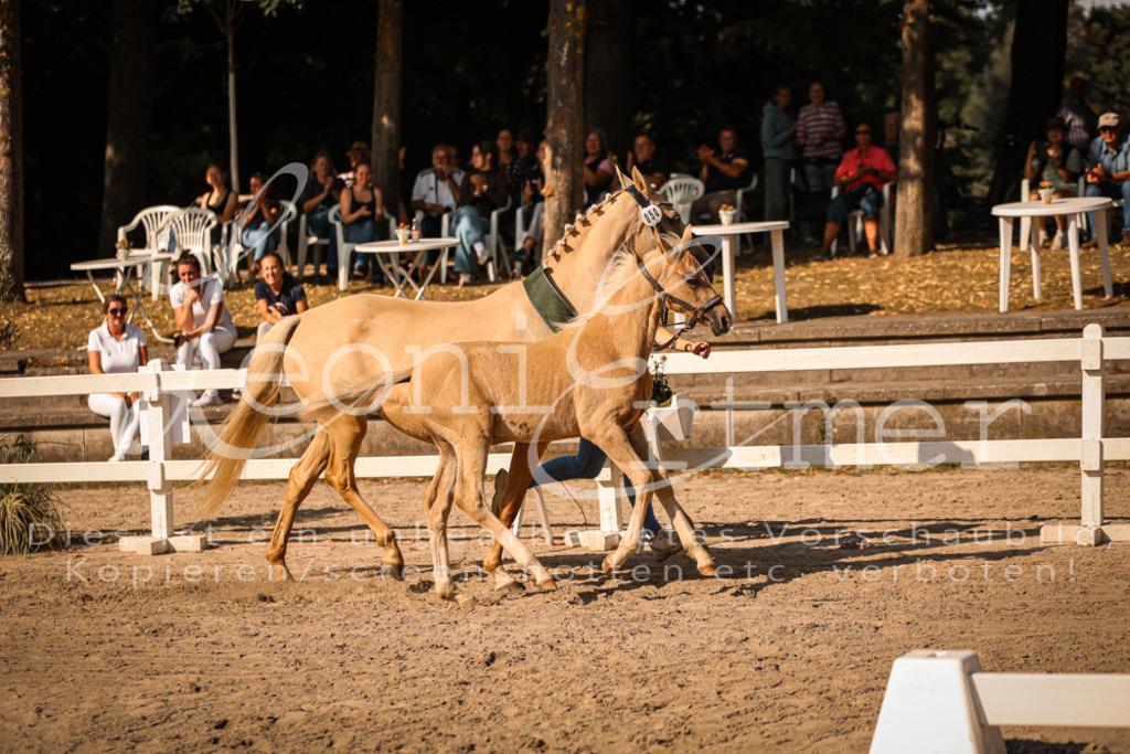 10.DoRP00237 | Leoni Ertmer Photography - Realisiert mit Pictrs.com