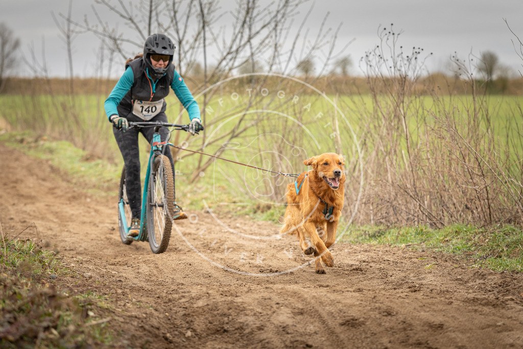 DV3A1455 | Hundefotografie, Tierfotograf, Pfotenfotografie, Fotoshooting Hund, Hunde Portrait, Hundesport, Hundeportraits, Heideshooting, Hunde, Sportfotograf, Hundefotograf, Turnierhundsport, THS,  - Realisiert mit Pictrs.com