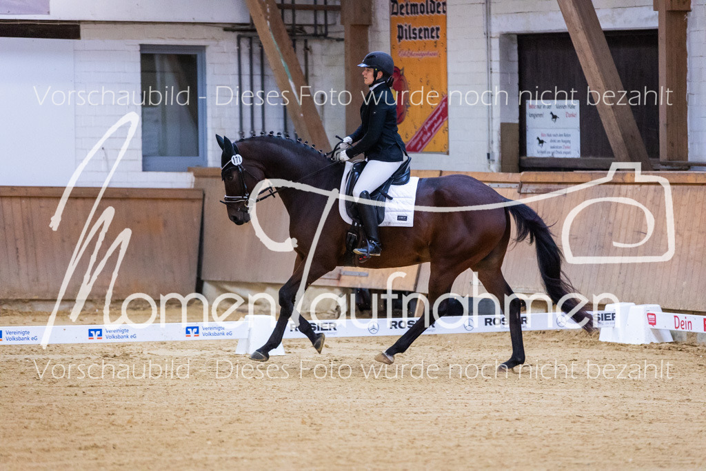 Sth-A-Dre-1St-067 | MomenTaufnahmen Pferdesportfotos