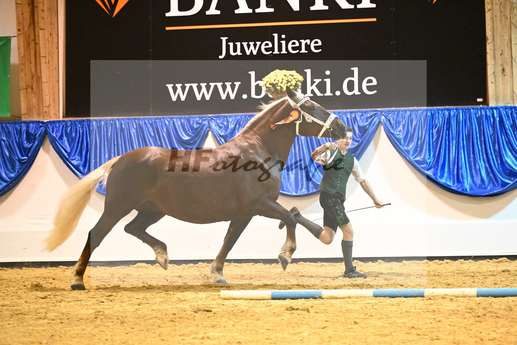 Kat-Nr. 85 Monarchin_Bachmair_53221415 | hf-fotografie - Realisiert mit Pictrs.com