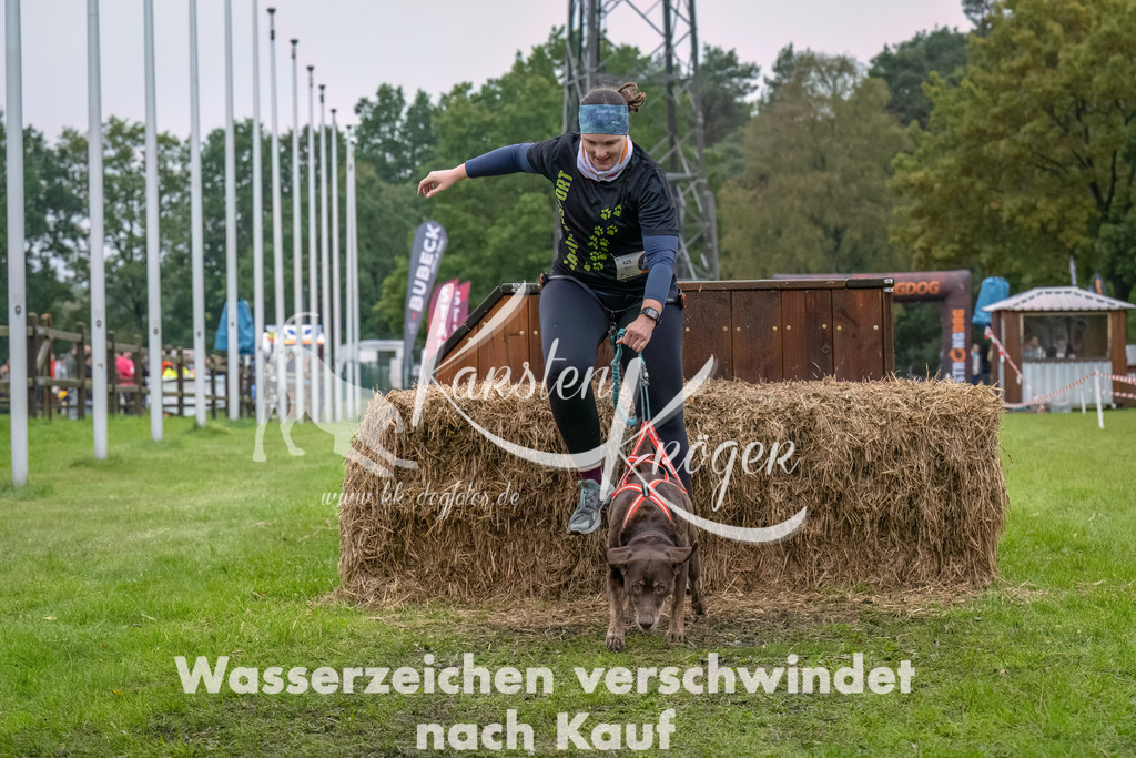 1202--13 | kk-dogfotos