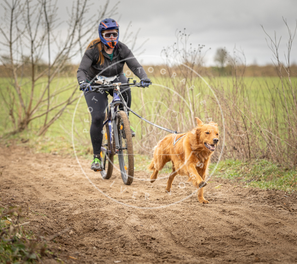 DV3A0991 | Hundefotografie, Tierfotograf, Pfotenfotografie, Fotoshooting Hund, Hunde Portrait, Hundesport, Hundeportraits, Heideshooting, Hunde, Sportfotograf, Hundefotograf, Turnierhundsport, THS,  - Realisiert mit Pictrs.com