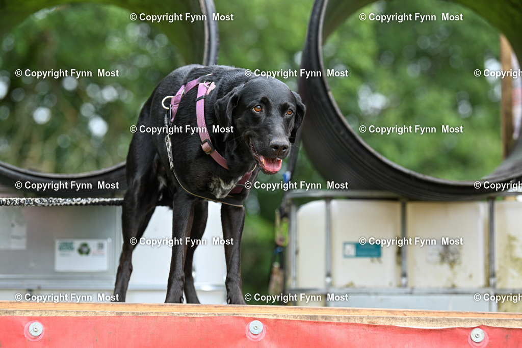 DSC_3148 | Hallo und herzlich Willkommen auf meiner Shop-Seite Fynn Most.

Ich wünsche Dir viel Spaß beim stöbern durch die Bilder, wenn Du Fragen hast oder Bilder vermisst, kannst du mir gerne eine Nachricht schreiben. - Realisiert mit Pictrs.com