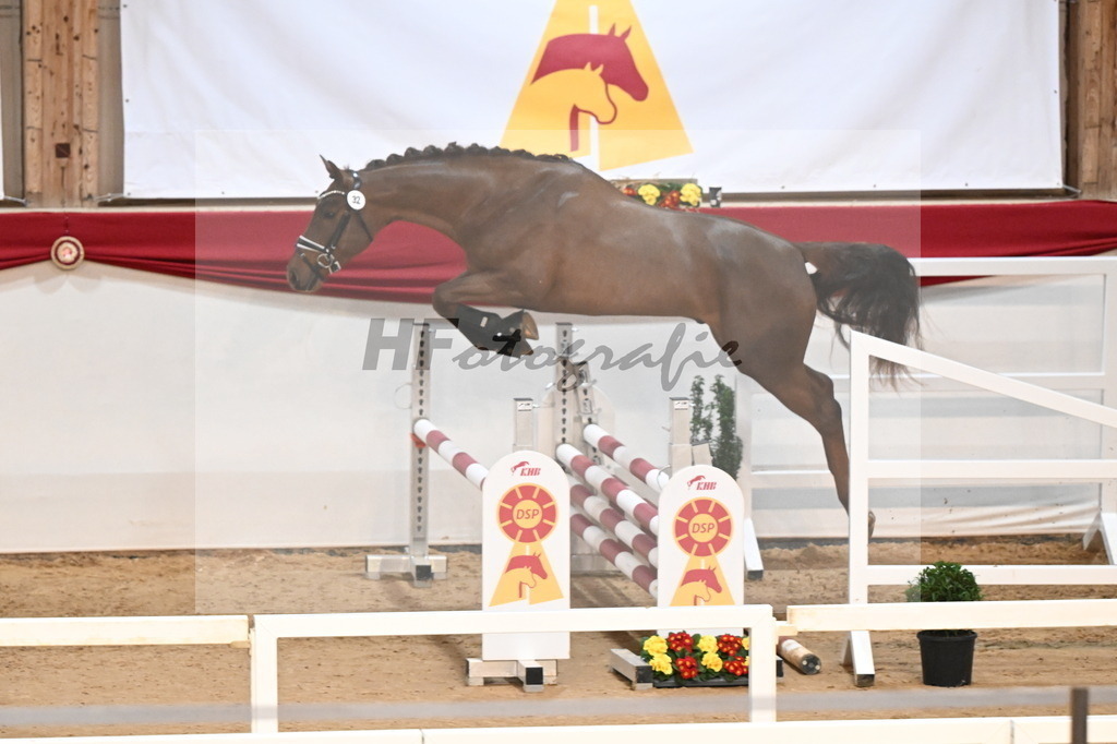 Kat.-Nr. 32 v. Tangelo van de Zuuthoeve_Schlamminger_3261786 | hf-fotografie - Realizzato con Pictrs.com
