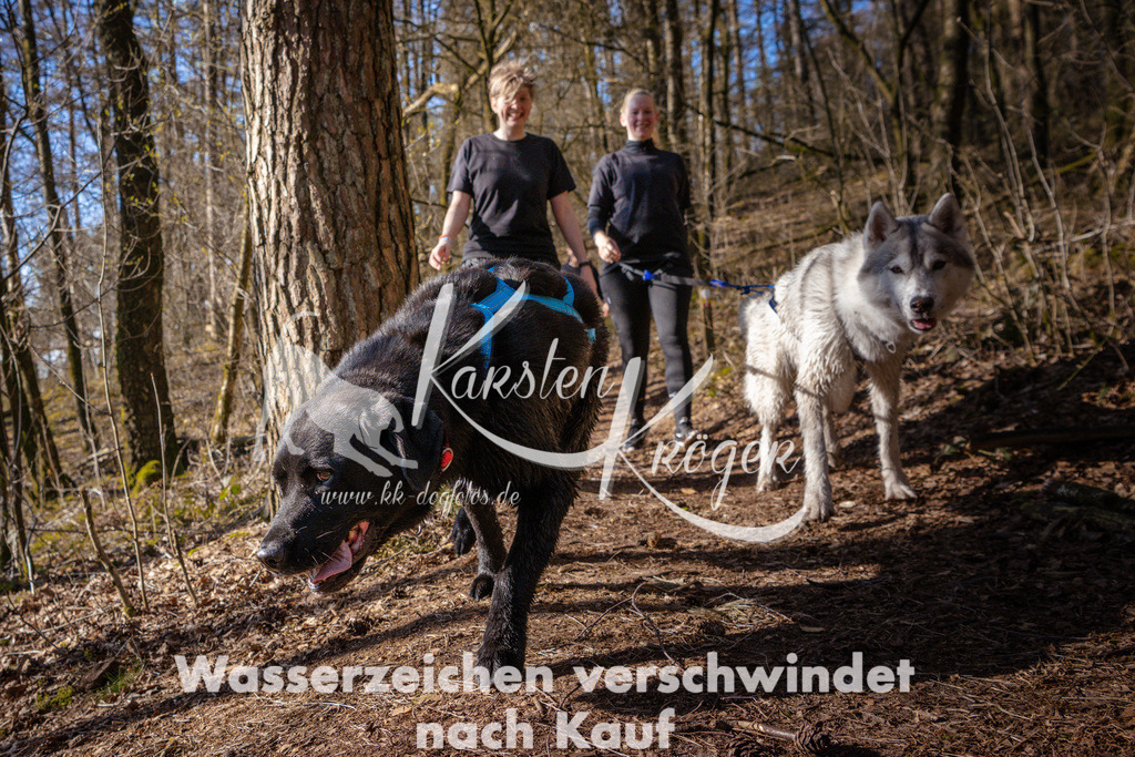 0927_ZZ98084 | kk-dogfotos