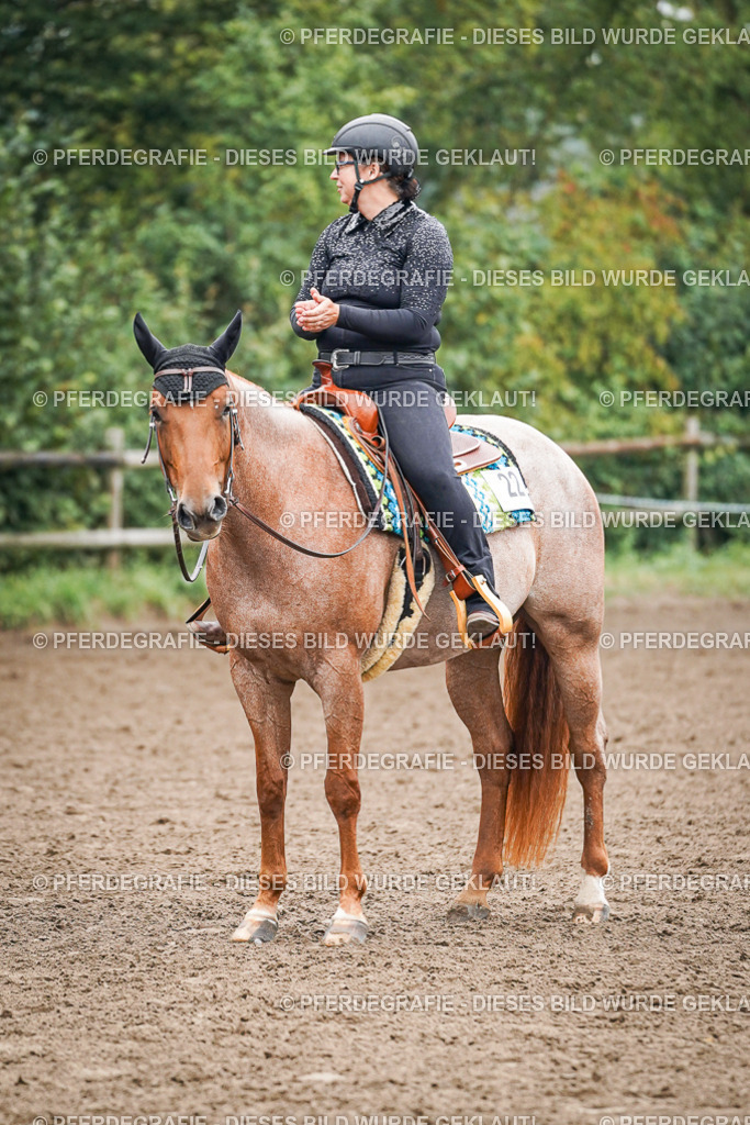 DSC01828 | Pferdegrafie