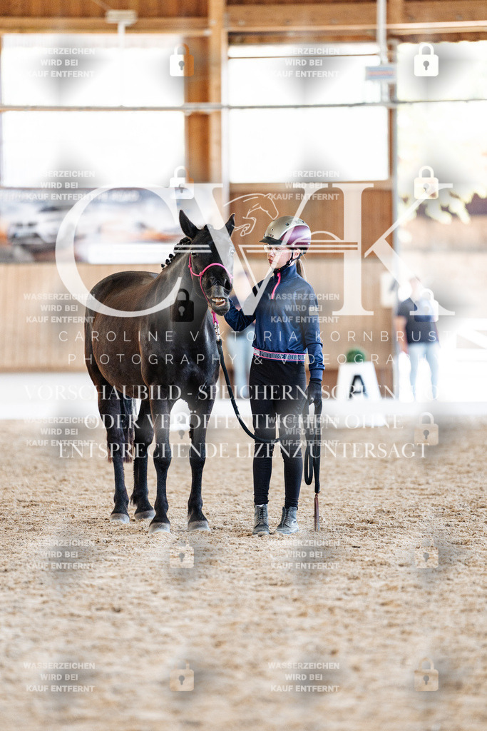 CK906832 | Turnierfotografie Pferdefotografie Trier Rheinland-Pfalz Pferdesport Reitsport Tierfotografie Sportfotografie Pferdevideo Pferdevideografie Equestrianvideography equestrianphotography  - Realisiert mit Pictrs.com