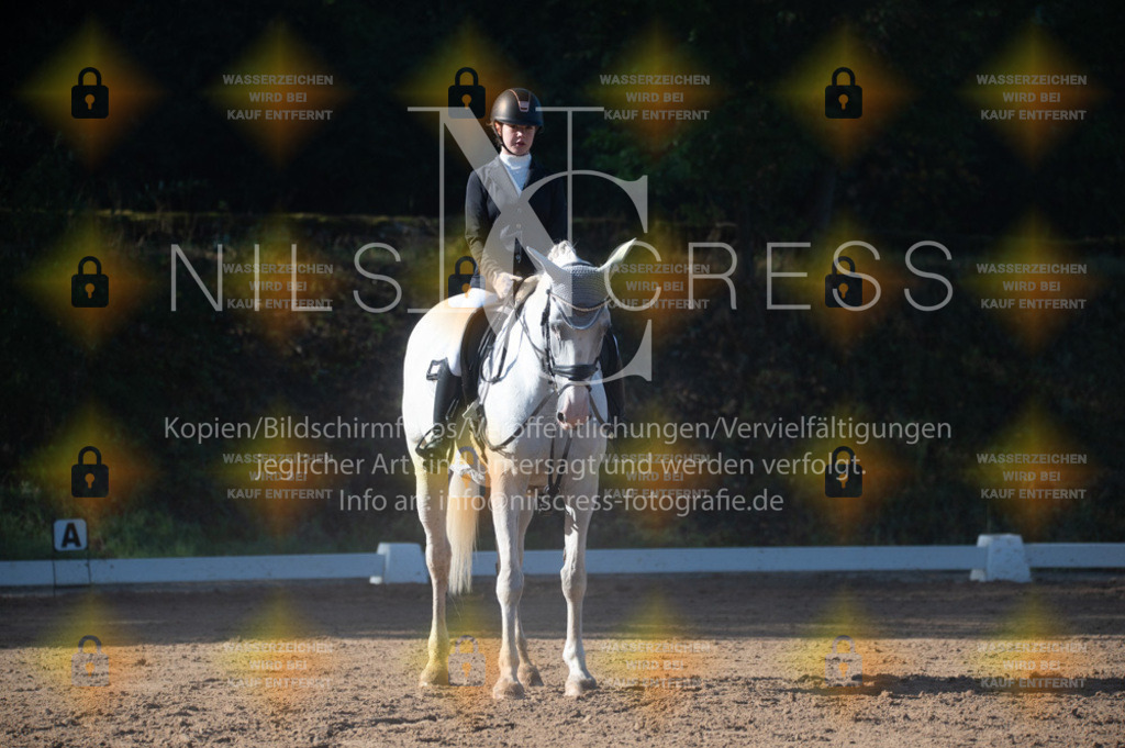 DSC_7706 | Nils Cress - Fotografie - Realisiert mit Pictrs.com