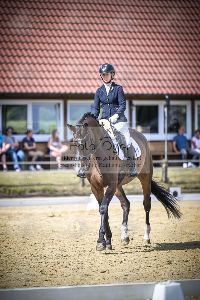 DOS_7850 | Entdecke hochwertige Reitturnierfotos von Foto Oger. Professionell, emotional und authentisch – jetzt Lieblingsmomente im Shop bestellen. - Realisiert mit Pictrs.com