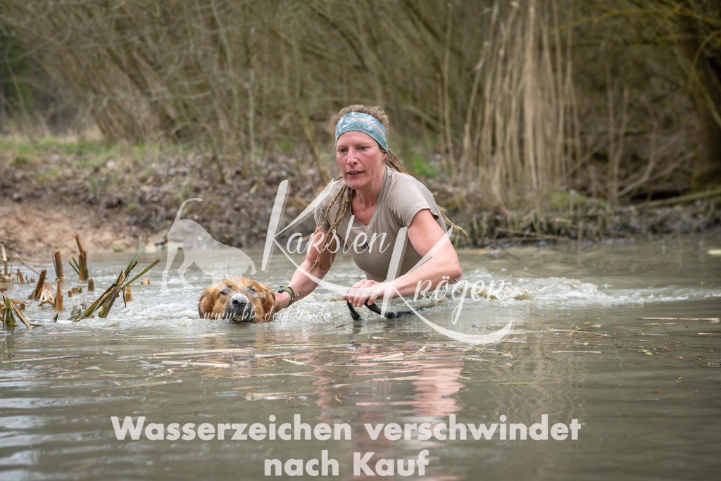1330_ZZ99597 | kk-dogfotos