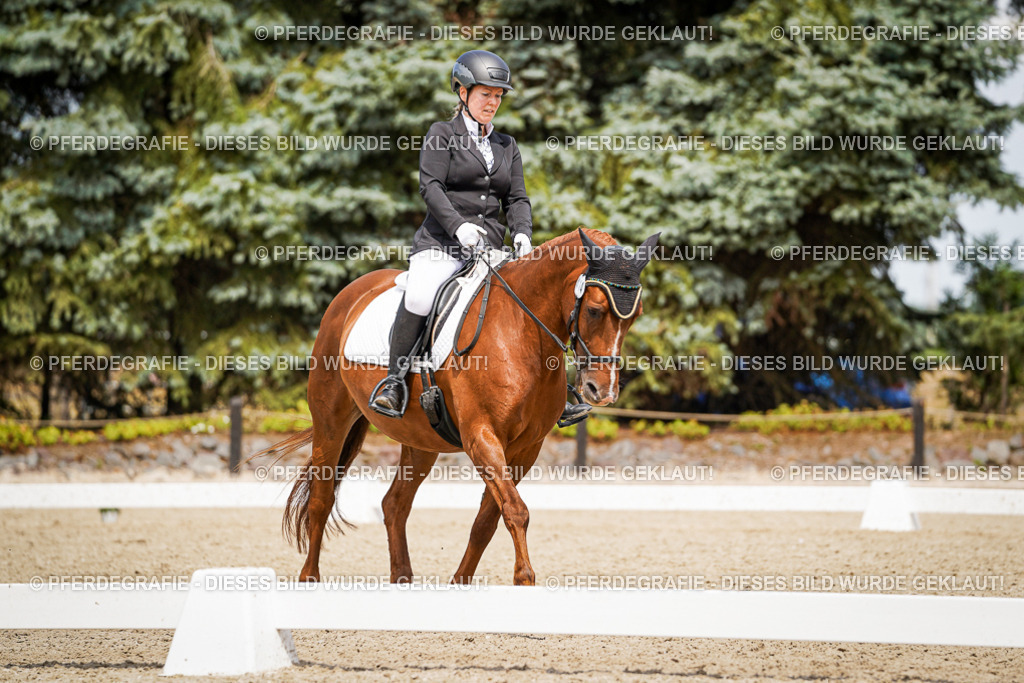 DSC04074 | Pferdegrafie