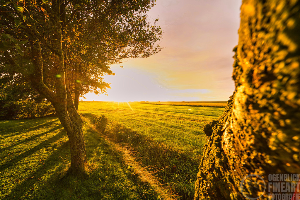 _A7R2222 | Björn Thiemann; Ogenblick.de; Fotografie; Photograph; Landscape, Pellworm, Schleswig-Holstein; Inselfotograf; Inselfotografien; Wattenmeer; National-Park; Naturschutzgebiet; Leuchtturm; Lighthouse; Leinwandbilder; Kalender; Pellworm Kalender;  - Realisiert mit Pictrs.com