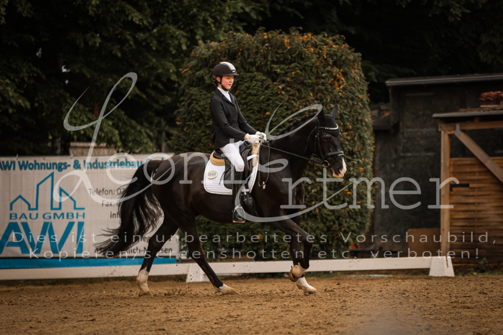 DoDrE00151 | Leoni Ertmer Photography - Realisiert mit Pictrs.com