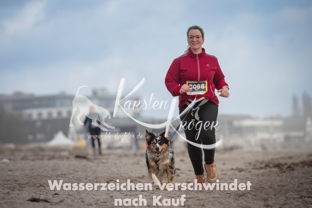 1212_ZZ94983 | kk-dogfotos