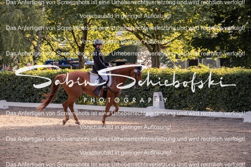 2025_05_31_DSCF2663 | People- und Tierfotografie, Imageaufnahmen, Veranstaltungsfotografie und Wandbilder aus der Natur ★ Made in Germany ✔️ Druck + Downloads ✔️ Naturfotografie in Top Qualität ★ schneller Versand, weltweite Lieferung! - Realisiert mit Pictrs.com