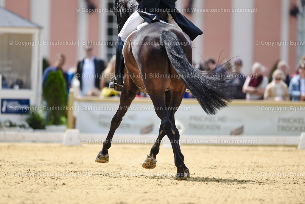 20250607_1_GP-Tour_Dressage_0215 | Foto: Thomas Hartig