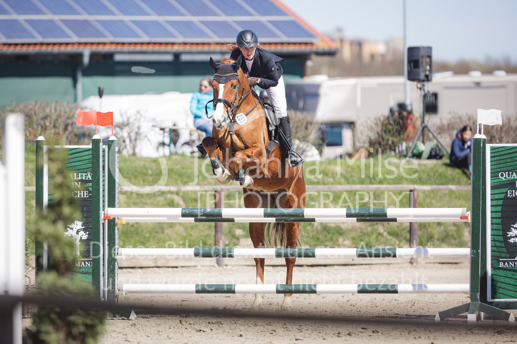 220416_3_A-Springen-357 | Frühlingsfest der Pferde
Herford
16.April 2022
03/1 Sprigprüfung mit steigenden Anforderungen Kl. A** geschlossen 0-43 RLP
