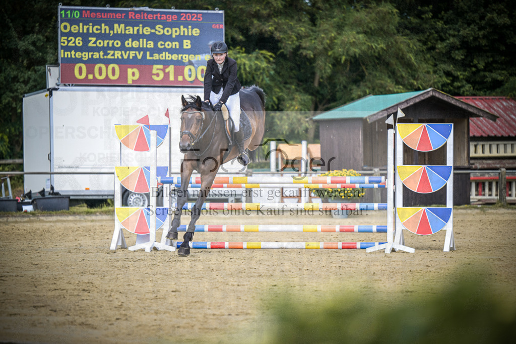DOS_5136 | Entdecke hochwertige Reitturnierfotos von Foto Oger. Professionell, emotional und authentisch – jetzt Lieblingsmomente im Shop bestellen.Deutschlandweite Turnierfotografie. - Realisiert mit Pictrs.com