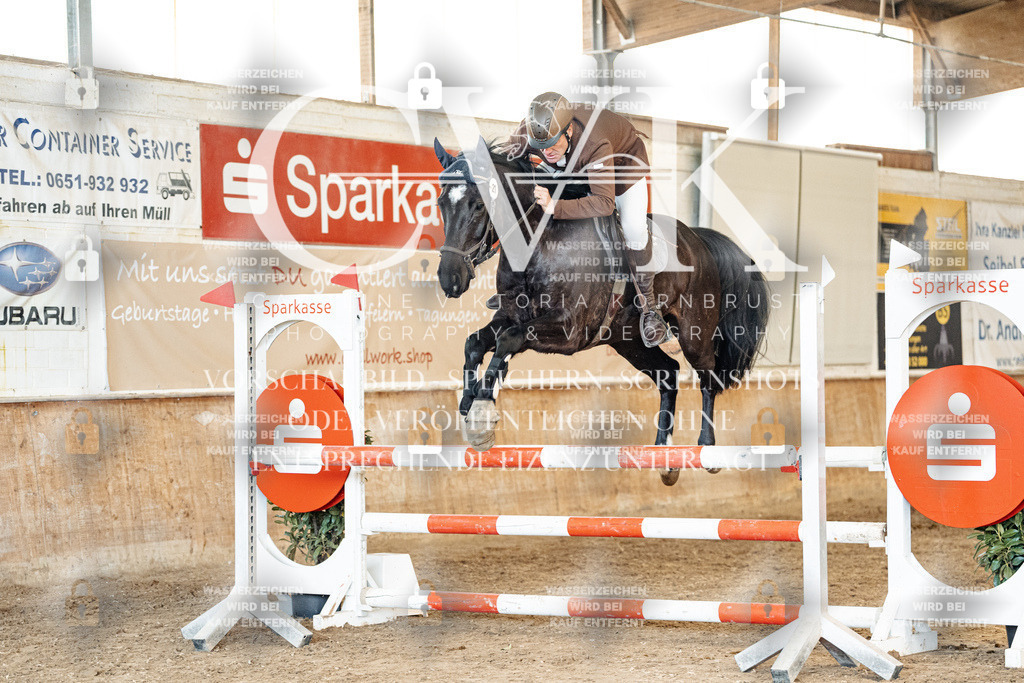 CK905335 | Turnierfotografie Pferdefotografie Trier Rheinland-Pfalz Pferdesport Reitsport Tierfotografie Sportfotografie Pferdevideo Pferdevideografie Equestrianvideography equestrianphotography  - Realized with Pictrs.com