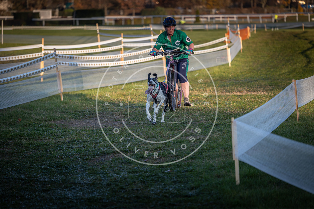 CaniXpix_0L8A2346 | Hundefotografie, Tierfotograf, Pfotenfotografie, Fotoshooting Hund, Hunde Portrait, Hundesport, Hundeportraits, Heideshooting, Hunde, Sportfotograf, Hundefotograf, Turnierhundsport, THS,  - Realisiert mit Pictrs.com