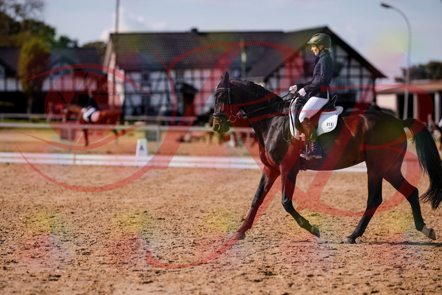 2026_10_03_Siefer-Hof_133852_Z81_97861927 | Professionelle Reitsport-, Turnier- und Eventfotografie von Robert Broda. Galerien mit ausgewählten und bearbeiteten Bildern direkt online ansehen und bestellen.