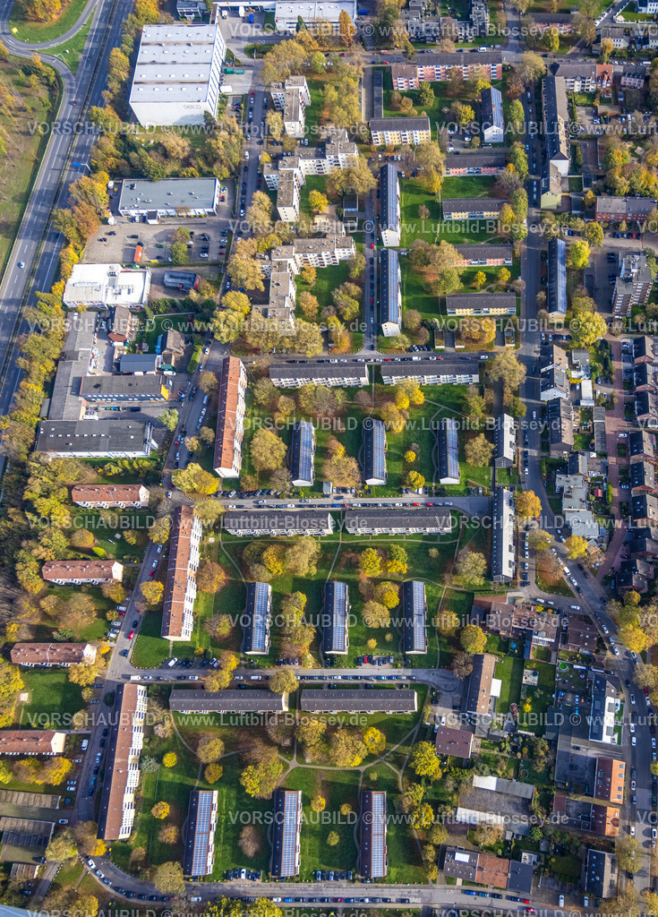 Gelsenkirchen221101672suedlich | Luftbild, Wohnhaussiedlung Dächer, Wohnblock Reihenhäuser Greifswalder Straße, Bäume in Herbstfarben, Bismarck, Gelsenkirchen, Ruhrgebiet, Nordrhein-Westfalen, Deutschland