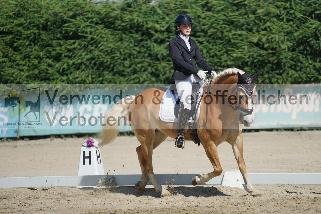 DSC03010 | equestrian-live-com