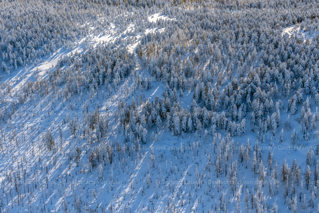 4044914 | SCHIERKE 14.02.2021 Winterlich schneebedeckte Baumspitzen in einem Waldgebiet in Schierke im Nationalpark Harz im Bundesland Sachsen-Anhalt, Deutschland. // Wintry snowy treetops in a wooded area in Schierke in the Harz in the state Saxony-Anhalt, Germany. Foto: Gerhard Launer
