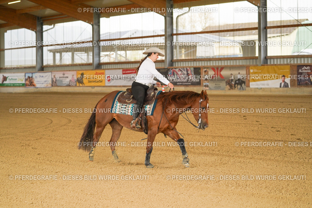 DSC00351 | Pferdegrafie