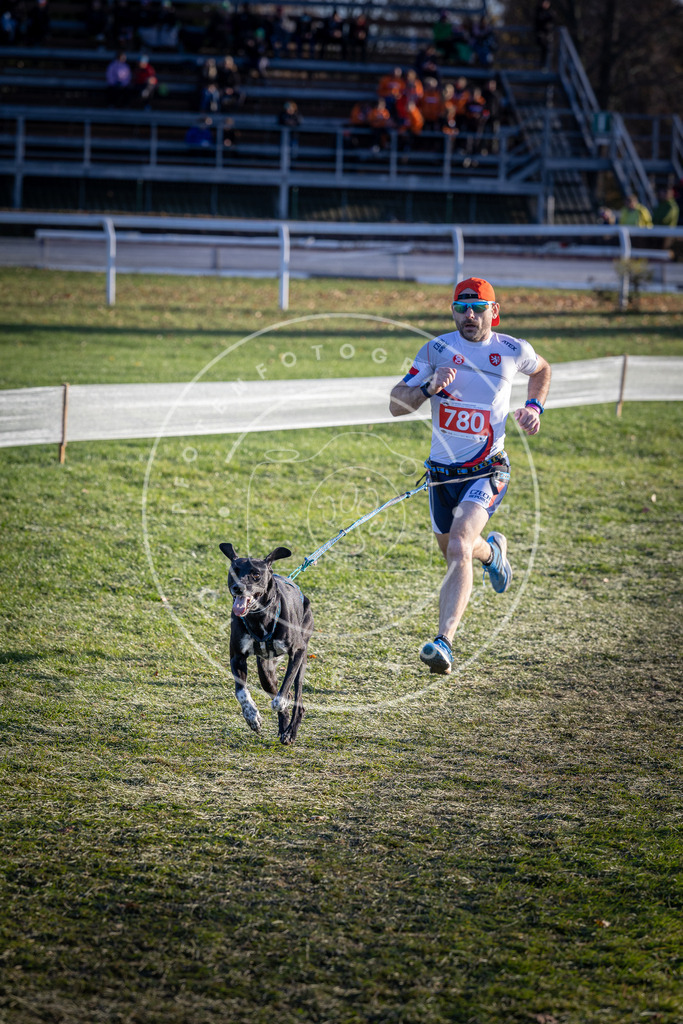 CaniXpix_DV3A2800 | Hundefotografie, Tierfotograf, Pfotenfotografie, Fotoshooting Hund, Hunde Portrait, Hundesport, Hundeportraits, Heideshooting, Hunde, Sportfotograf, Hundefotograf, Turnierhundsport, THS,  - Realisiert mit Pictrs.com