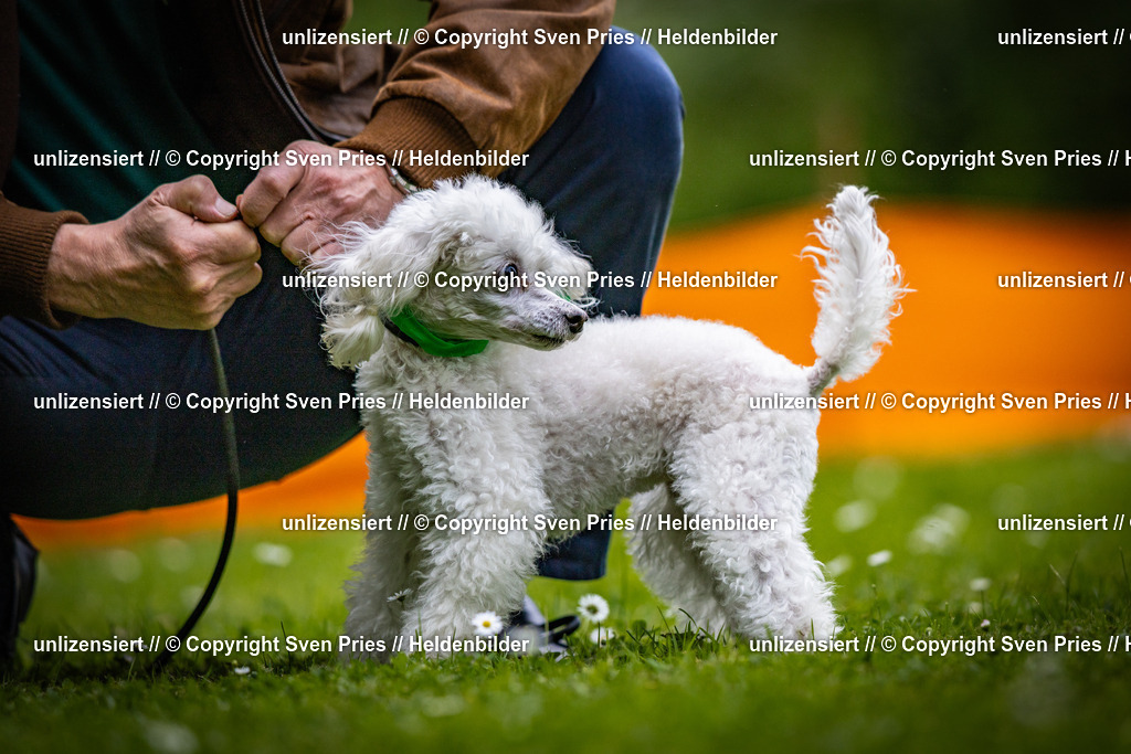 Sven Pries | 2025-05-29 - Pudelrennen KA-Durlach - Realisiert mit Pictrs.com