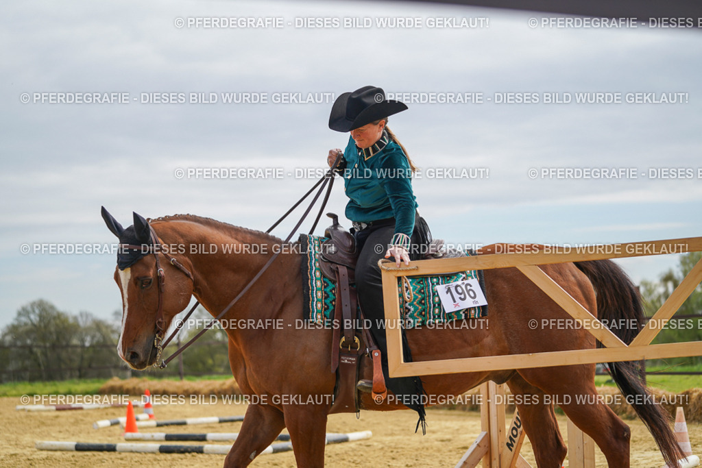 DSC03614 | Pferdegrafie