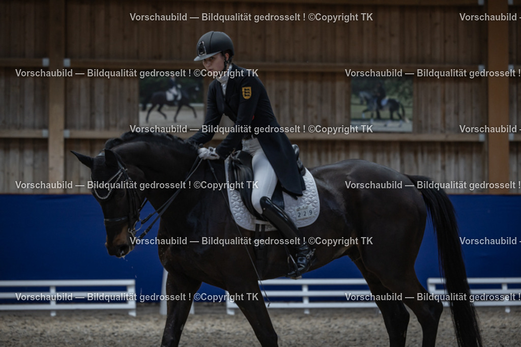 _D5A2917 | Emotionale Pferde- & People-Fotografie rund um Heidelberg, Leimen & Umgebung. Natürliche Fotos von Pferd, Mensch & Familie. Jetzt Termin sichern!