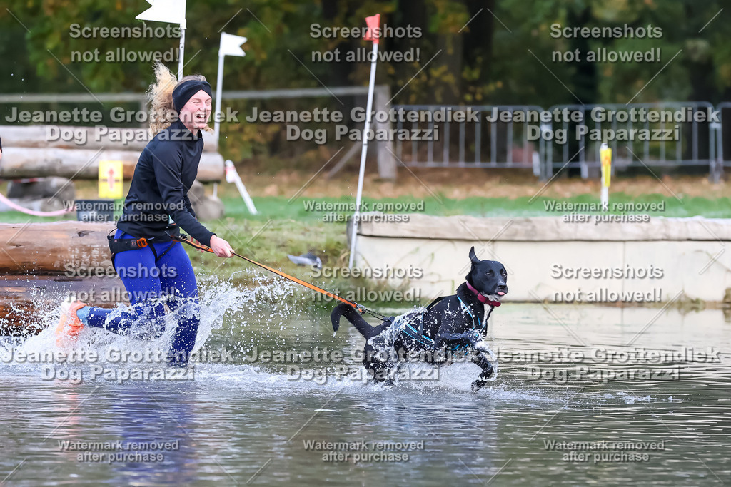 Dog Paparazzi - Strongdog 10-25-6301 | Dog Paparazzi Jeanette Grottendiek Fotografie & Videografie - Realisiert mit Pictrs.com
