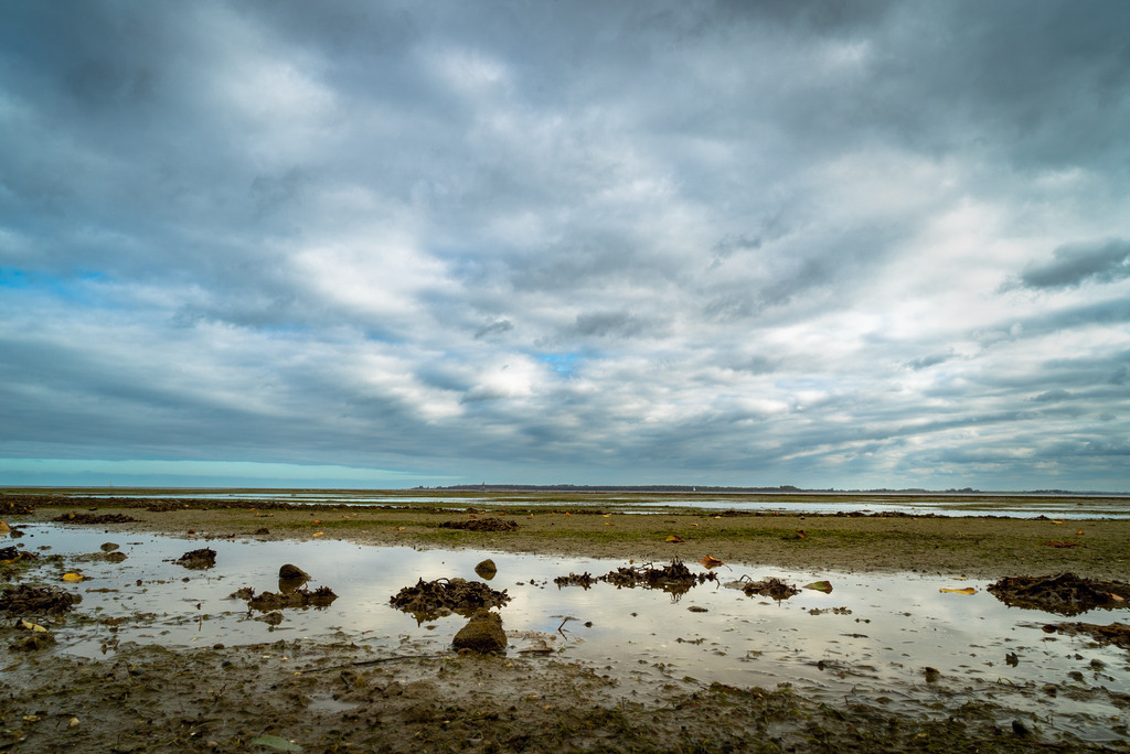 Hohenwieschendorf im Spätsommer | Ein Vormittag im Spätsommer 2023 an der Steilküste vor Hohenwieschendorf in Mecklenburg-Vorpommern.  - Realisiert mit Pictrs.com