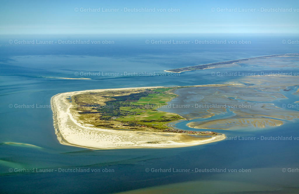 3801676 | Amrum, Nationalpark Schleswig-Holsteinisches Wattenmeer