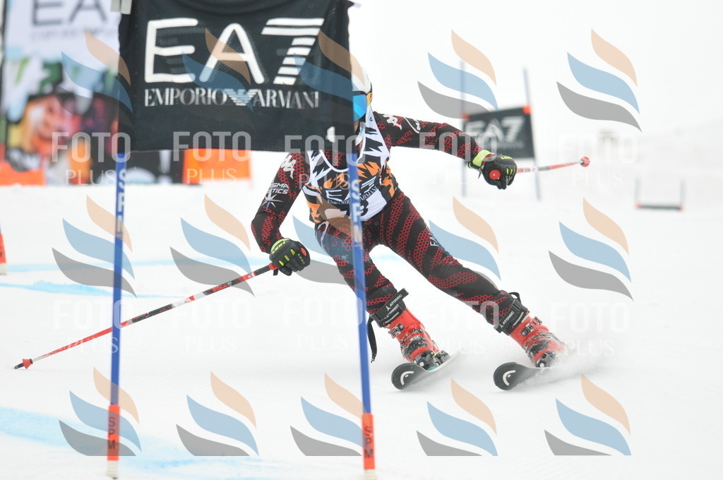 DSC_7886 | holidayphoto