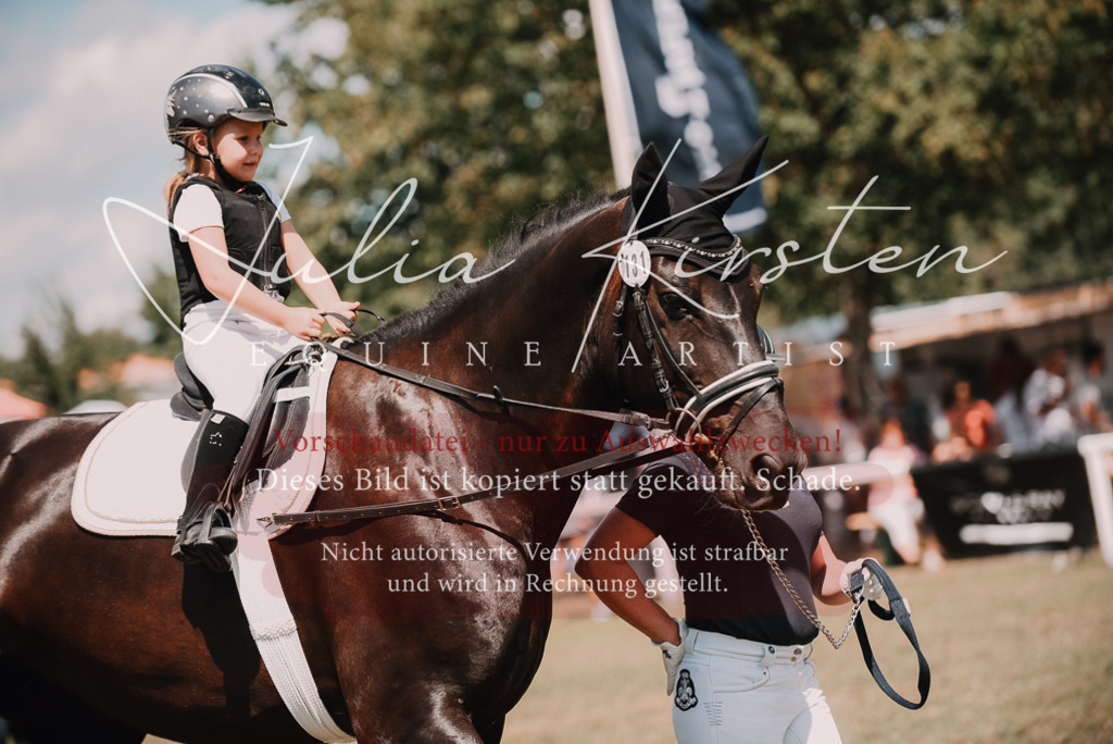 DSC_6184 | Pferde- und Turnierfotografie in Westsachsen. Pferdeportraits, Auftragszeichnungen und intuitive Kunst.