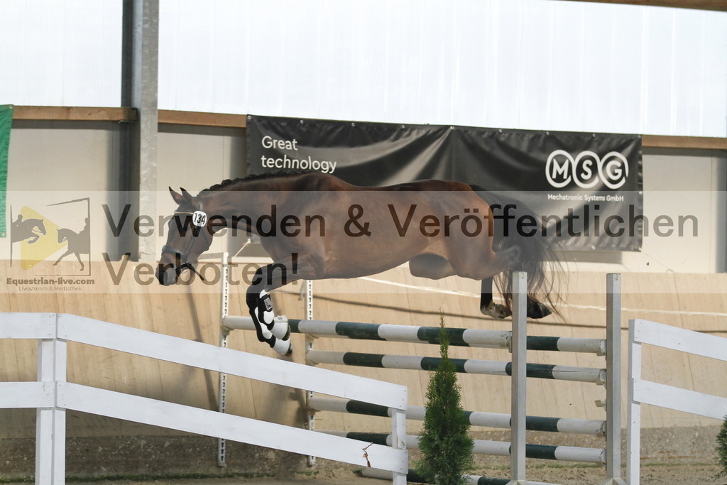 _MG_0892 | equestrian-live-com