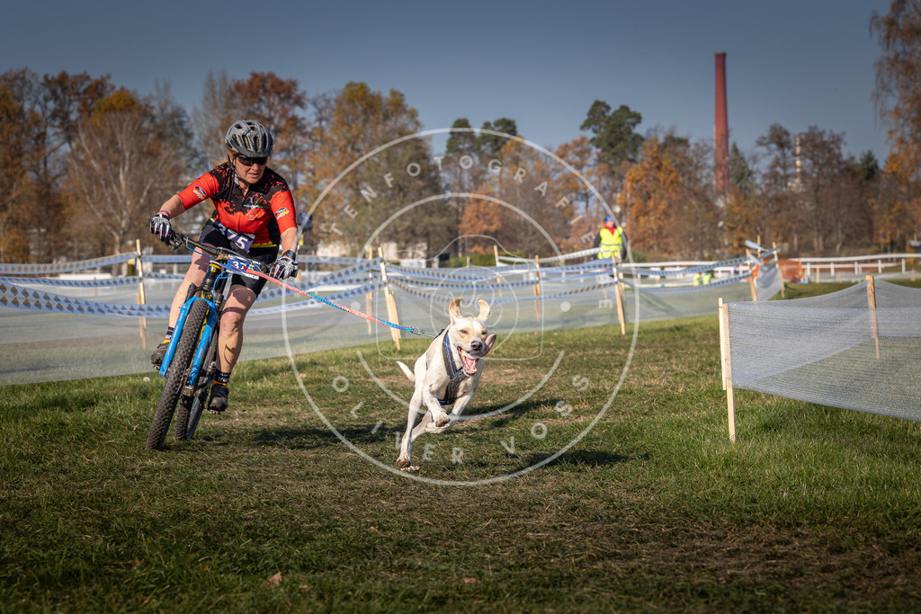 CaniXpix_0L8A7460 | Hundefotografie, Tierfotograf, Pfotenfotografie, Fotoshooting Hund, Hunde Portrait, Hundesport, Hundeportraits, Heideshooting, Hunde, Sportfotograf, Hundefotograf, Turnierhundsport, THS,  - Realisiert mit Pictrs.com