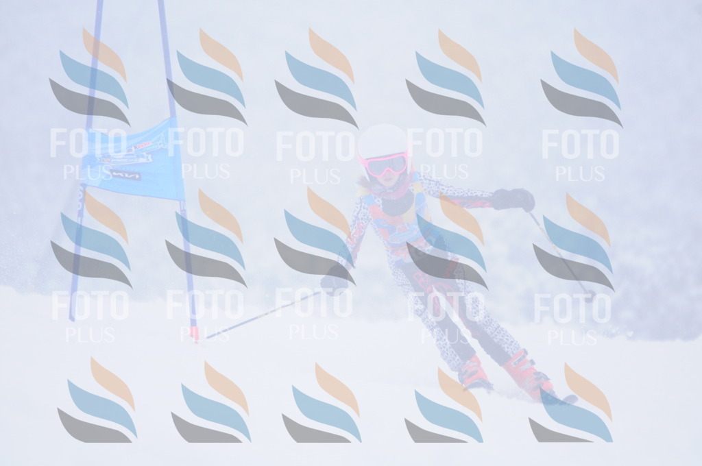 C1919 | holidayphoto