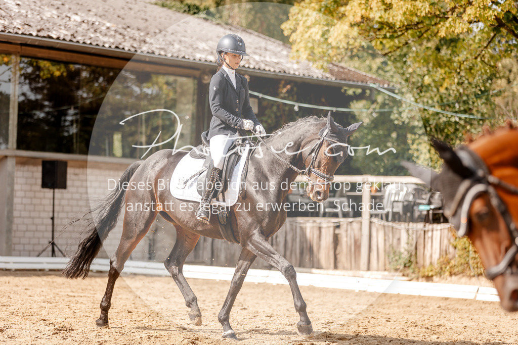 3I6A3976 | Stimmungsvolle Portraits und Reitsportfotografie im Ruhrgebiet und im Münsterland.

Pferdefotografie, Hundefotografie, Tierfotografie, Reportagen, Portraits von Tier und Mensch, Turnierfotografie in Bochum, Recklinghausen, Marl, Haltern am See, Dülmen.. - Realisiert mit Pictrs.com