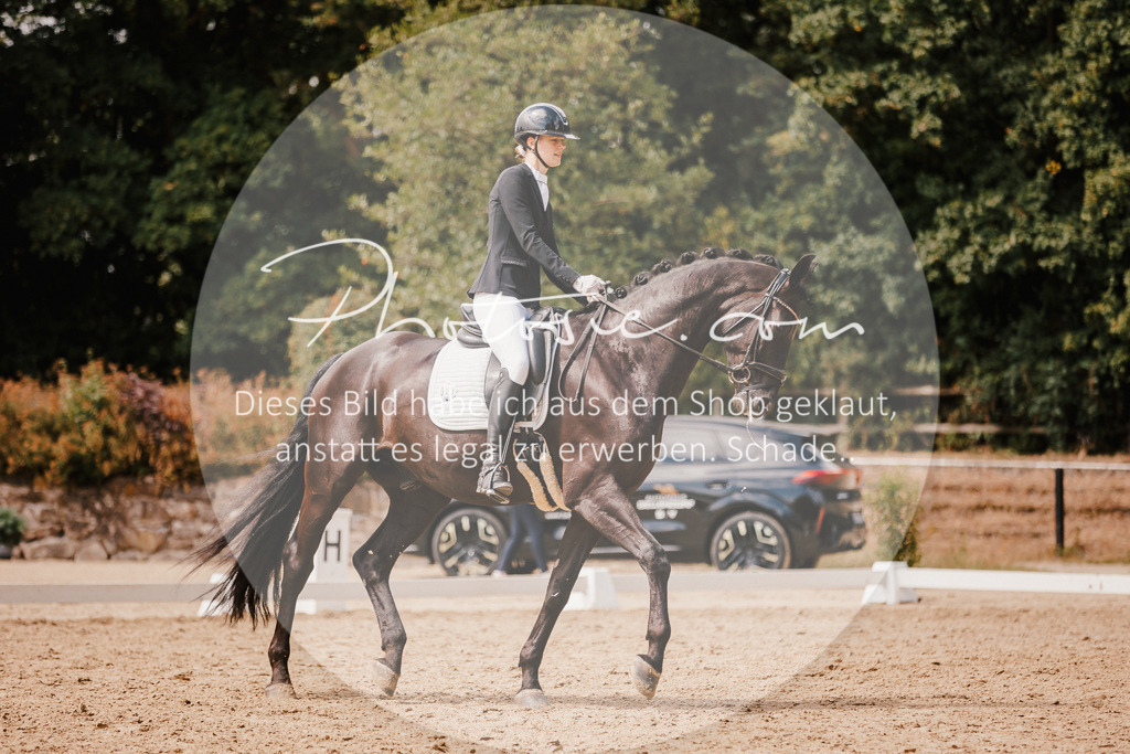 3I6A6073 | Stimmungsvolle Portraits und Reitsportfotografie im Ruhrgebiet und im Münsterland.

Pferdefotografie, Hundefotografie, Tierfotografie, Reportagen, Portraits von Tier und Mensch, Turnierfotografie in Bochum, Recklinghausen, Marl, Haltern am See, Dülmen.. - Realisiert mit Pictrs.com