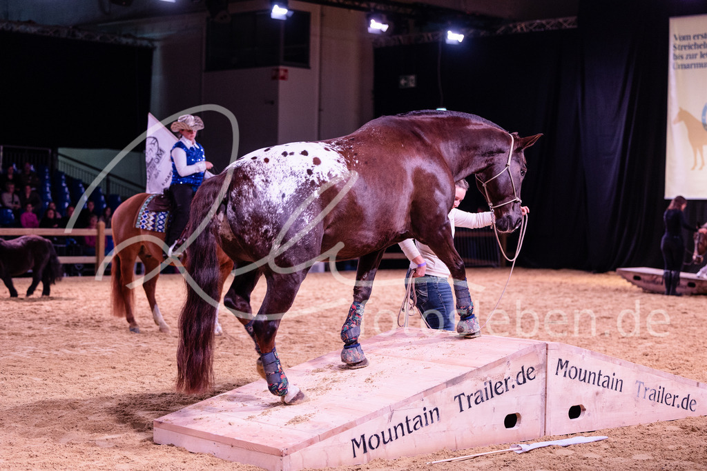 846A6770 | fotosleben - Realized with Pictrs.com