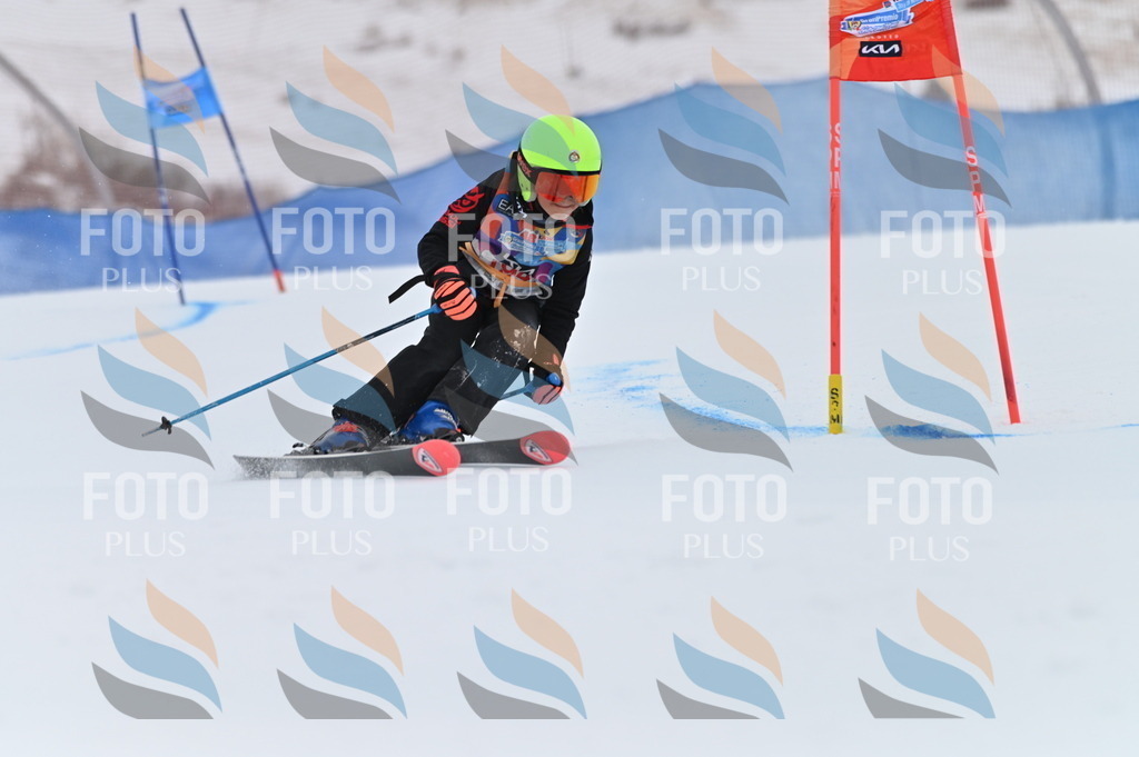 BGV_1633 | holidayphoto