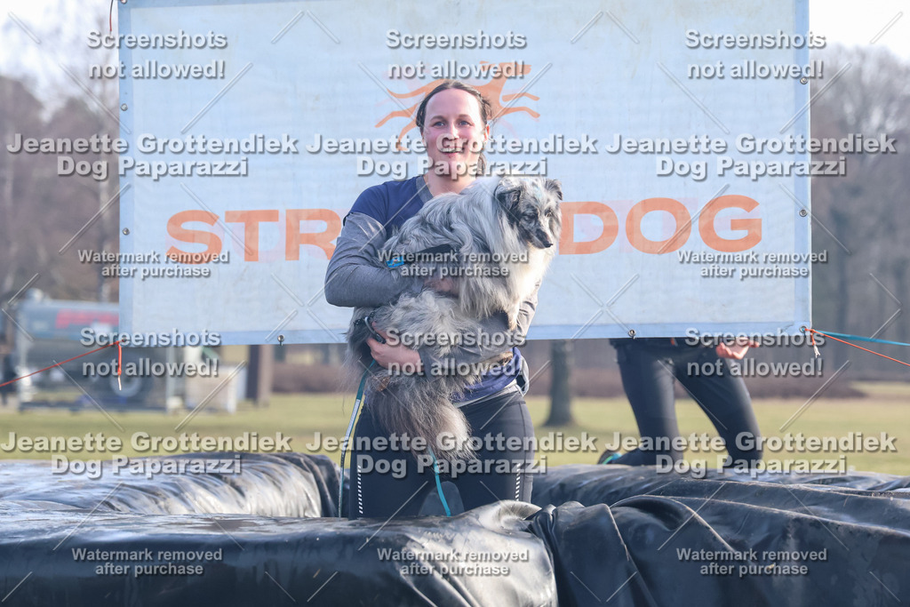 Dog Paparazzi - Strongdog North Mrz26-587 | Dog Paparazzi Jeanette Grottendiek Fotografie & Videografie - Realisiert mit Pictrs.com